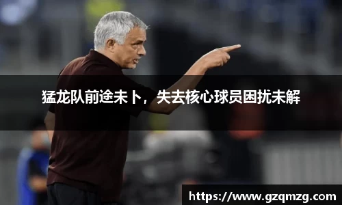 猛龙队前途未卜，失去核心球员困扰未解